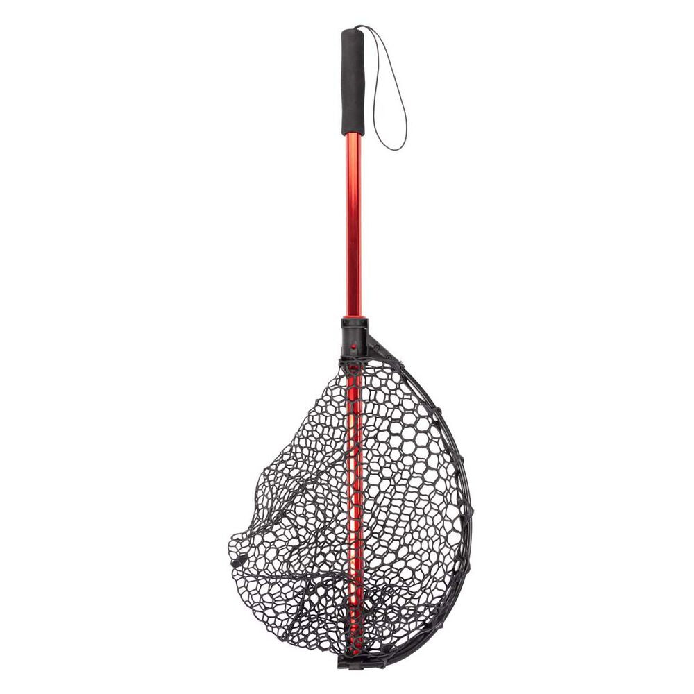 Berkley Folding Catch N Release Net