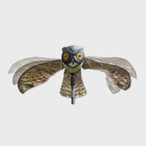 Prowler Owl