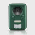 Solar Boat And Roof Guard Bird Repeller