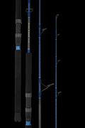 DAIWA 23 SALTIST OVERHEAD RODS