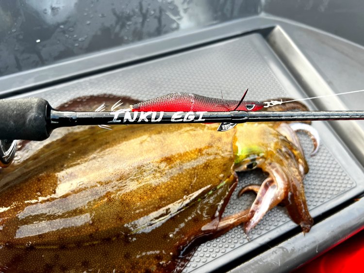 Inku Egi Rod 7'2" 2PC