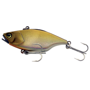 G VIBE 11GM 24 Gold Back