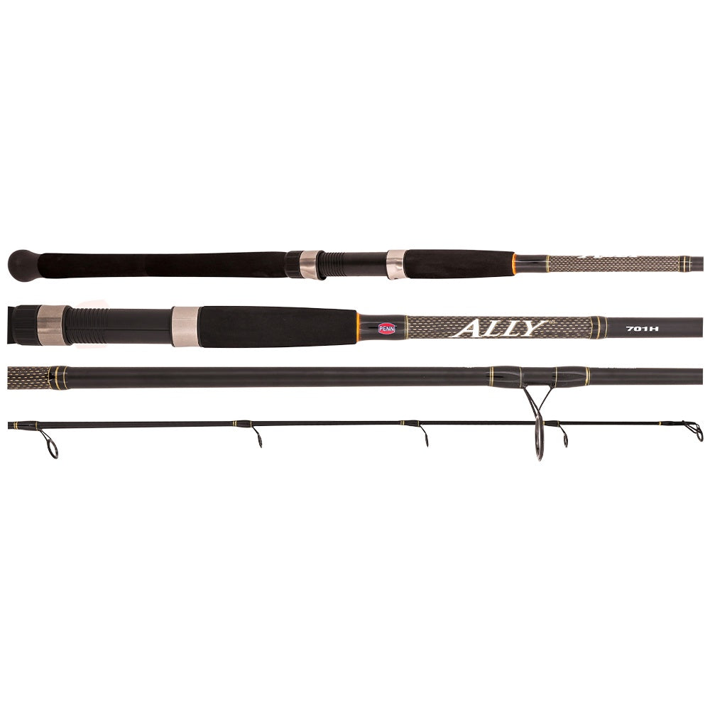 Penn Ally Surf Rod