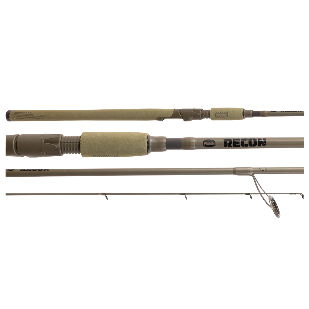 Penn Live Liner Combo