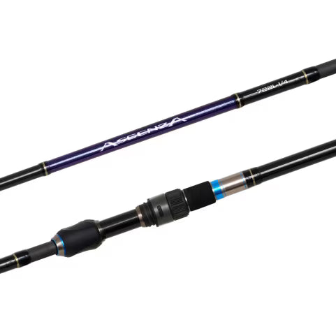 Shimano Ascenza