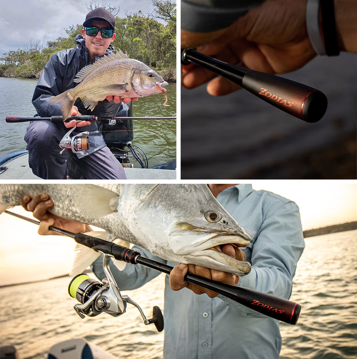 Shimano Zodias 20